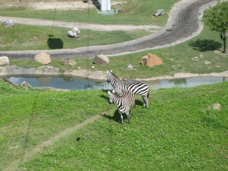 Florida2009 104